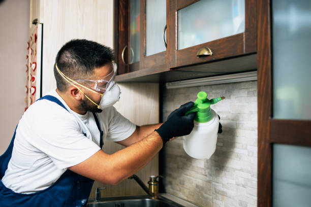 Best Pest Control Near Me  in Highlandville, MO