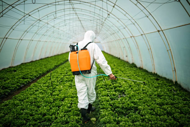 Best Commercial Pest Control Services  in Highlandville, MO