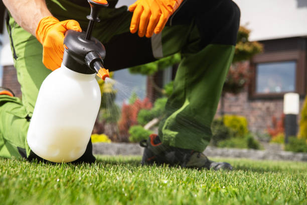 Best Mosquito Control Services  in Highlandville, MO