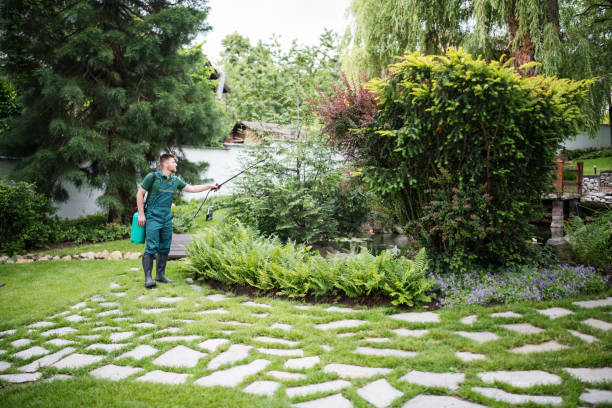 Best Affordable Pest Control Services  in Highlandville, MO