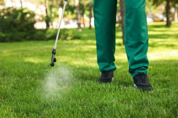 Best Pest Prevention Services  in Highlandville, MO