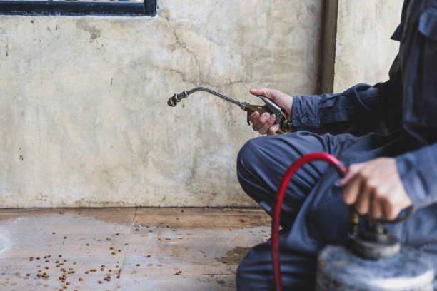 Best Best Pest Control Companies  in Highlandville, MO