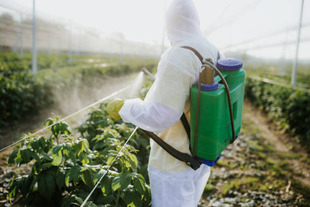 Best Best Pest Control Near Me  in Highlandville, MO